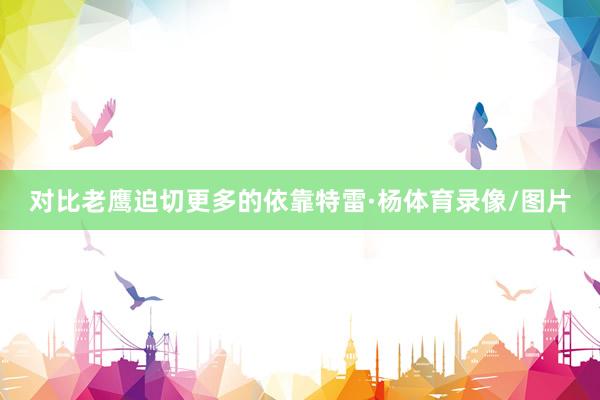 对比老鹰迫切更多的依靠特雷·杨体育录像/图片