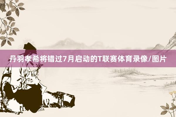 丹羽孝希将错过7月启动的T联赛体育录像/图片