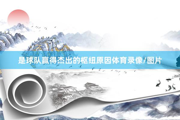 是球队赢得杰出的枢纽原因体育录像/图片