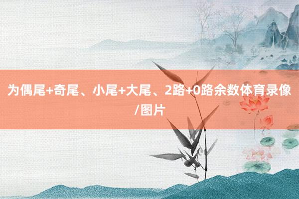 为偶尾+奇尾、小尾+大尾、2路+0路余数体育录像/图片
