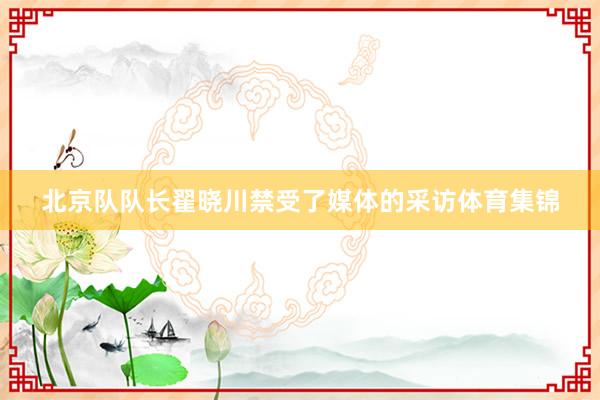 北京队队长翟晓川禁受了媒体的采访体育集锦
