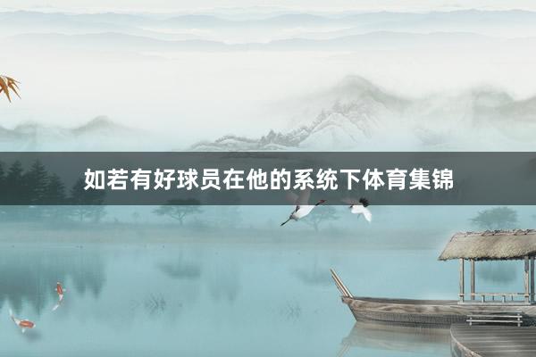 如若有好球员在他的系统下体育集锦