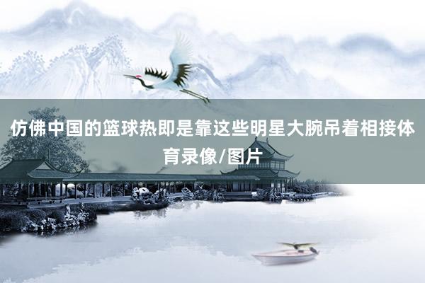 仿佛中国的篮球热即是靠这些明星大腕吊着相接体育录像/图片