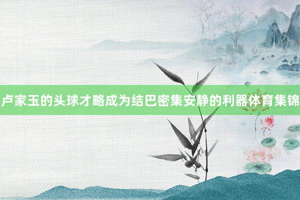 卢家玉的头球才略成为结巴密集安静的利器体育集锦