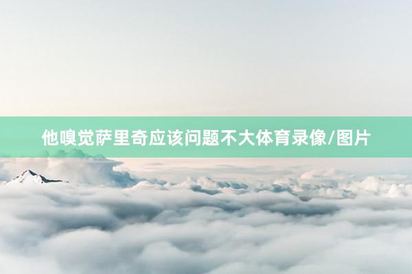 他嗅觉萨里奇应该问题不大体育录像/图片