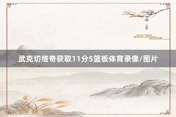 武克切维奇获取11分5篮板体育录像/图片