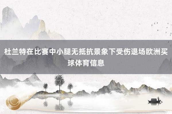 杜兰特在比赛中小腿无抵抗景象下受伤退场欧洲买球体育信息
