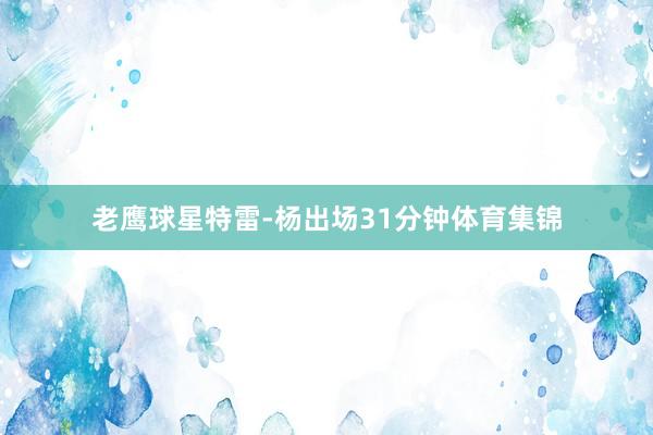 老鹰球星特雷-杨出场31分钟体育集锦