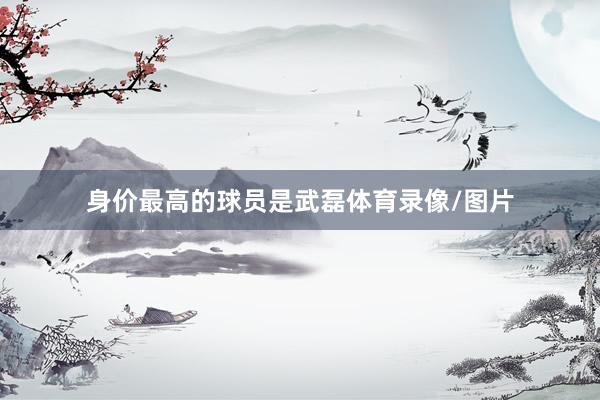 身价最高的球员是武磊体育录像/图片