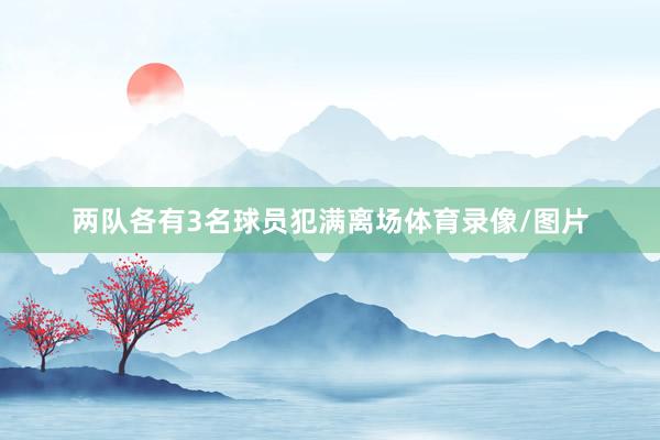 两队各有3名球员犯满离场体育录像/图片