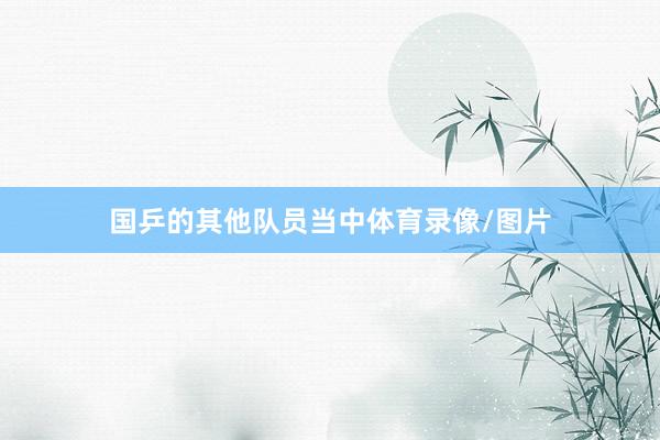 国乒的其他队员当中体育录像/图片