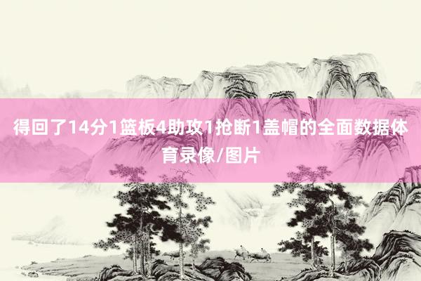 得回了14分1篮板4助攻1抢断1盖帽的全面数据体育录像/图片