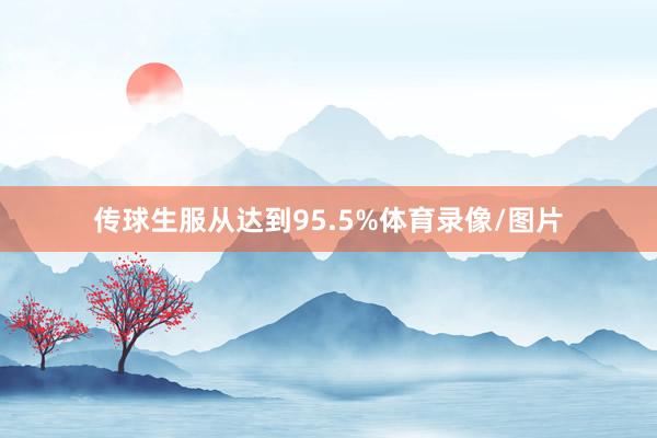 传球生服从达到95.5%体育录像/图片
