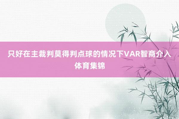 只好在主裁判莫得判点球的情况下VAR智商介入体育集锦